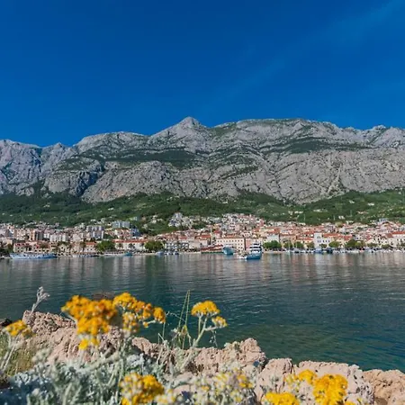 Beatiful Antonela With Pool In Villa
